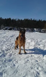 20180306_143539.webp