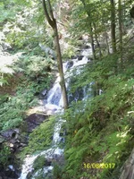 100_8056.webp
