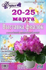  сказка бабочки min.webp