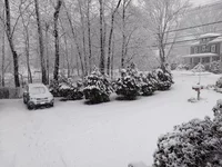 IMG_20180307_134931377_BURST001.jpg