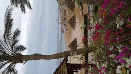 20180220_075825.webp