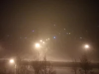 P80310-221634.webp