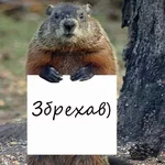 _n.webp