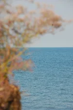 DSC_9247.webp