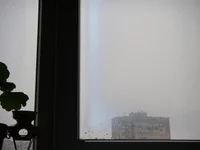 IMGP0120.webp