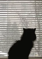  когда-же закончится снег.webp