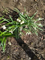 IMG_2018-03-14_123421_HDR.webp