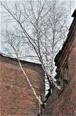  в Муссури.webp