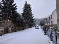 2018-03-20 09.07.47.jpg