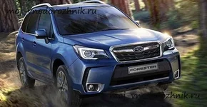subaru-forester-2018-photo-01.webp