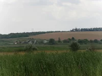 P7110027.webp