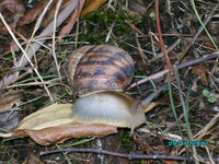 IMG_0000.jpg