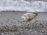 IMG_0002.jpg