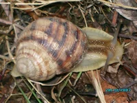 IMG_0005.webp