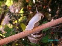 IMG_0007.jpg