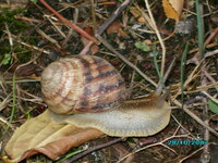 IMG_00012.jpg