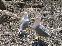 IMG_0017.jpg