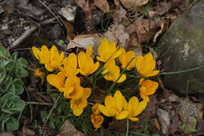 CRW_0703_w3.jpg