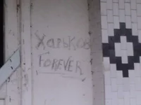 x_6cfa11e7.webp