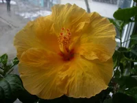 PICT0350.webp