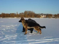 DSC00104.jpg