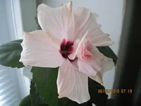 0490.webp