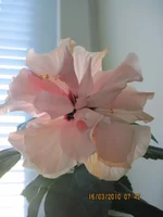 IMG_0578.webp