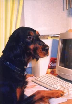 04.webp