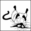 5b0a0bb4.gif