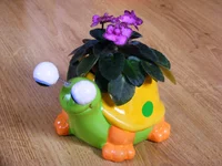 2010_03_19 018.jpg