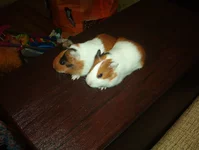 IM003775.webp