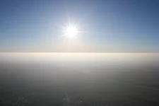 IMG_8931.webp