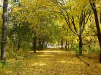 DSC06227.webp