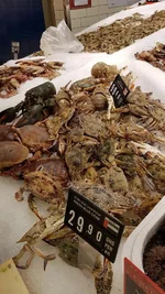 20161225_201332.webp