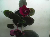 Photo0222.webp