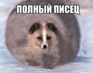 21032502_1391961130858231_8934513067548150682_n.png