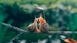 snail21.webp
