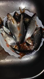 IMG_20180401_185657.webp