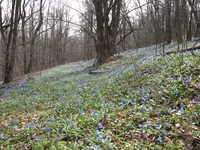 IMG_7908.webp