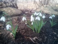 IMG_20180407_100743.webp