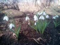 IMG_20180407_100733.webp
