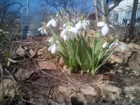 IMG_20180407_100811.webp