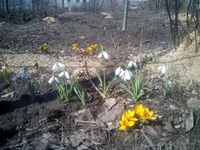 IMG_20180407_100820.webp