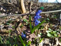 IMG_20180408_161141.jpg