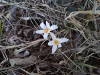 IMG_20180408_174823.jpg