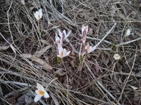 IMG_20180408_174405.webp