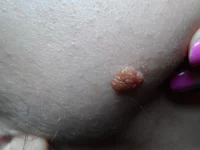 SAM_5940.webp