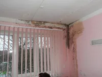 SAM_0129.webp