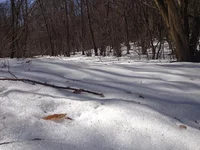 IMG_0126[1].webp