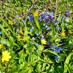IMG_20180415_110902_HDR - Copy.jpg